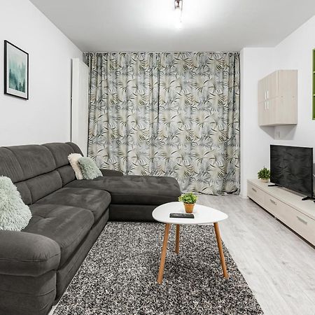 Green Apartment Coresi 布拉索夫 外观 照片