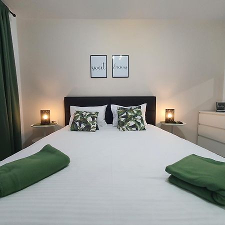 Green Apartment Coresi 布拉索夫 外观 照片