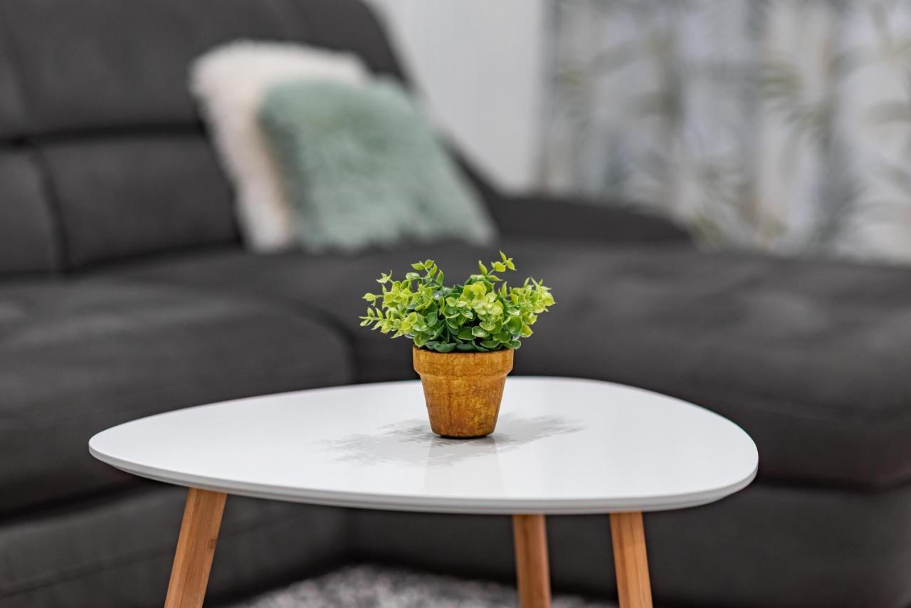 Green Apartment Coresi 布拉索夫 外观 照片