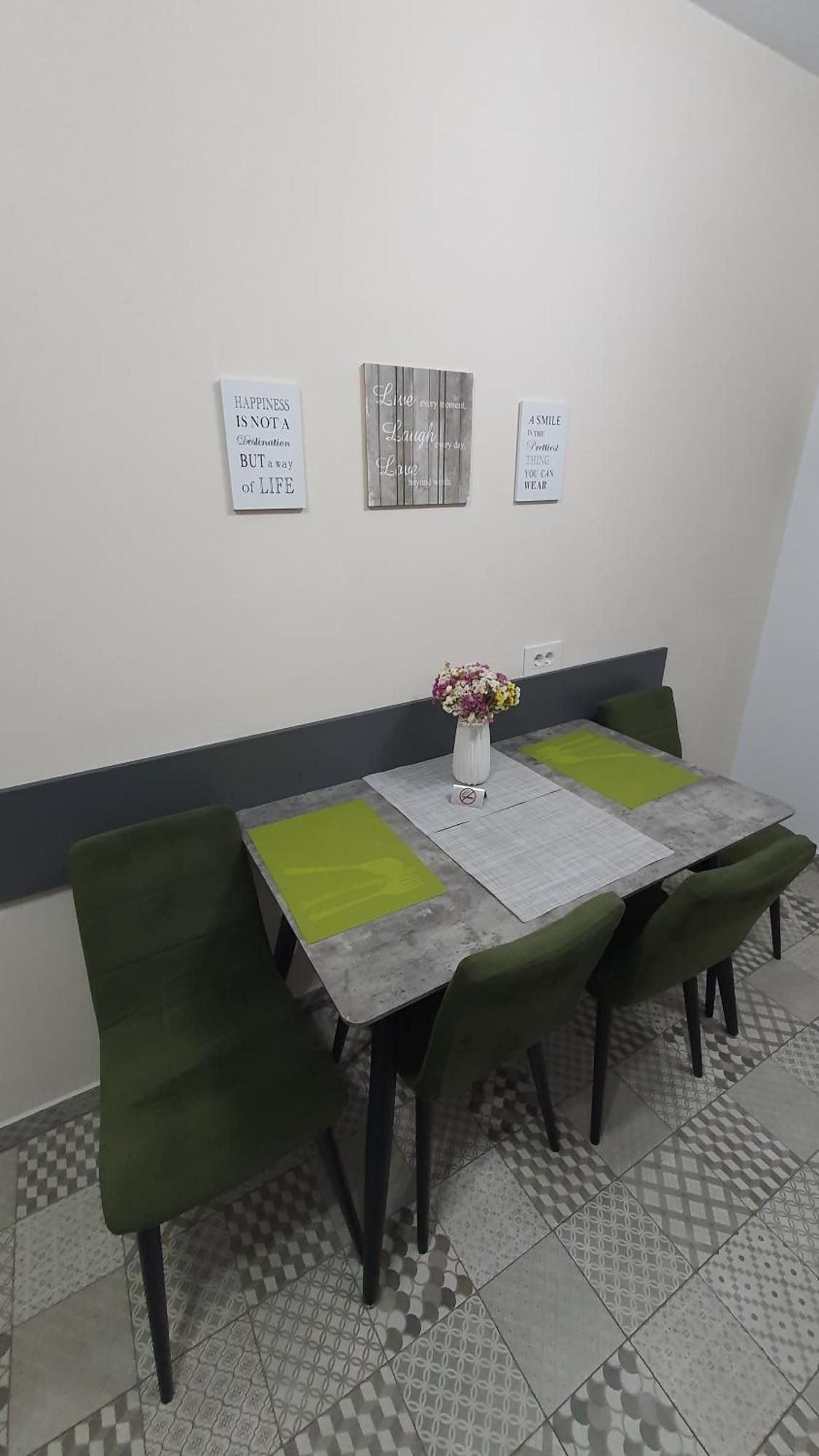 Green Apartment Coresi 布拉索夫 外观 照片