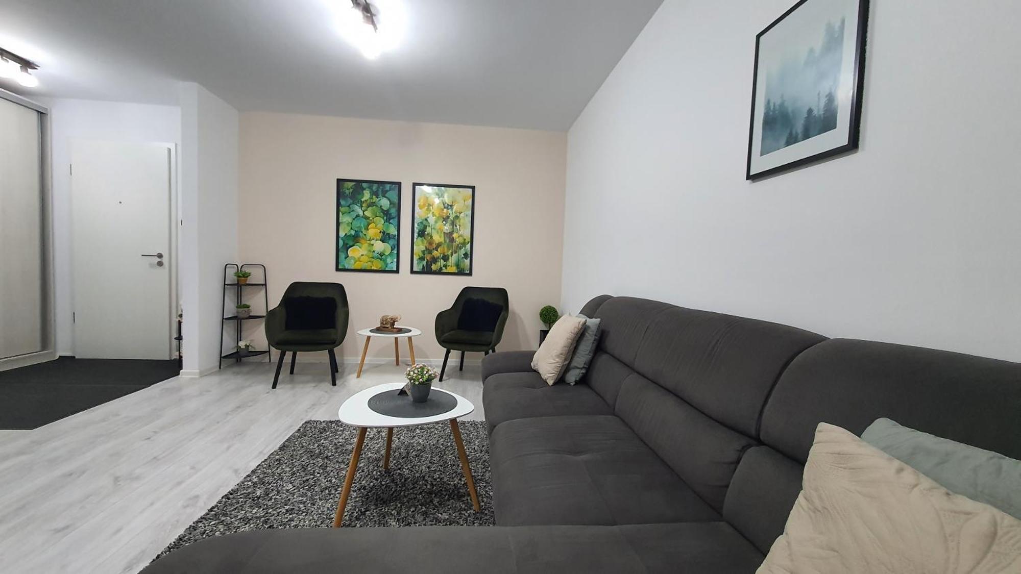 Green Apartment Coresi 布拉索夫 外观 照片